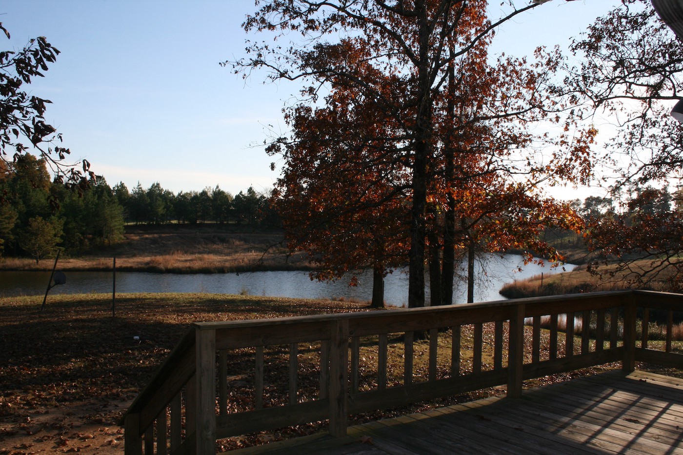 Wooden porch overlooking pond with autumn trees