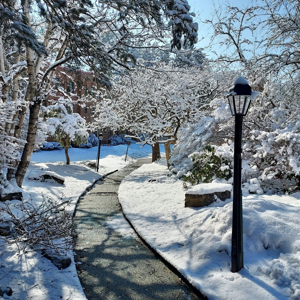 Walking path to the entrance covered in snow.