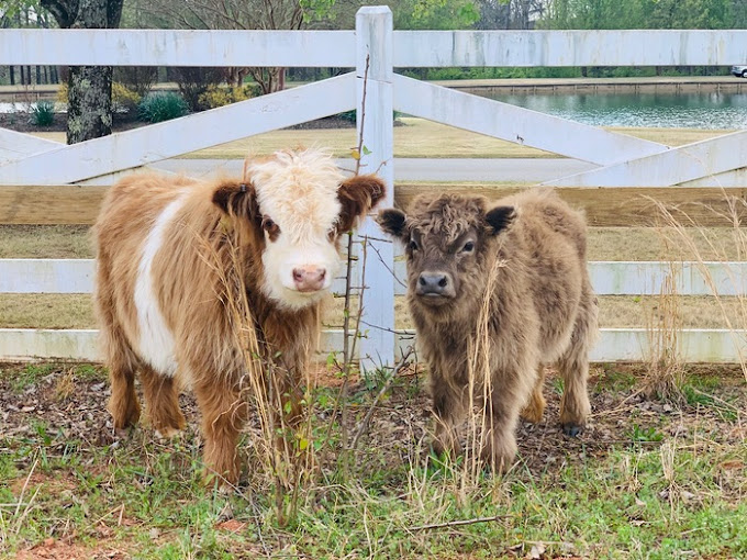 Twin Lakes Recovery Center Monroe5 (2)