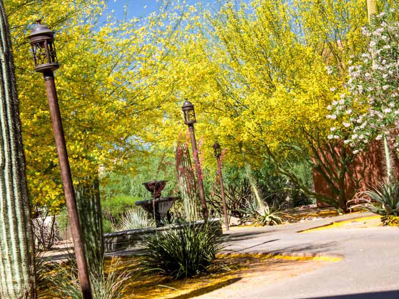 Sierra Tucson Tucson 3