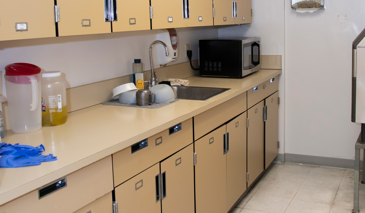Small kitchenette with sink, microwave, and storage cabinets.