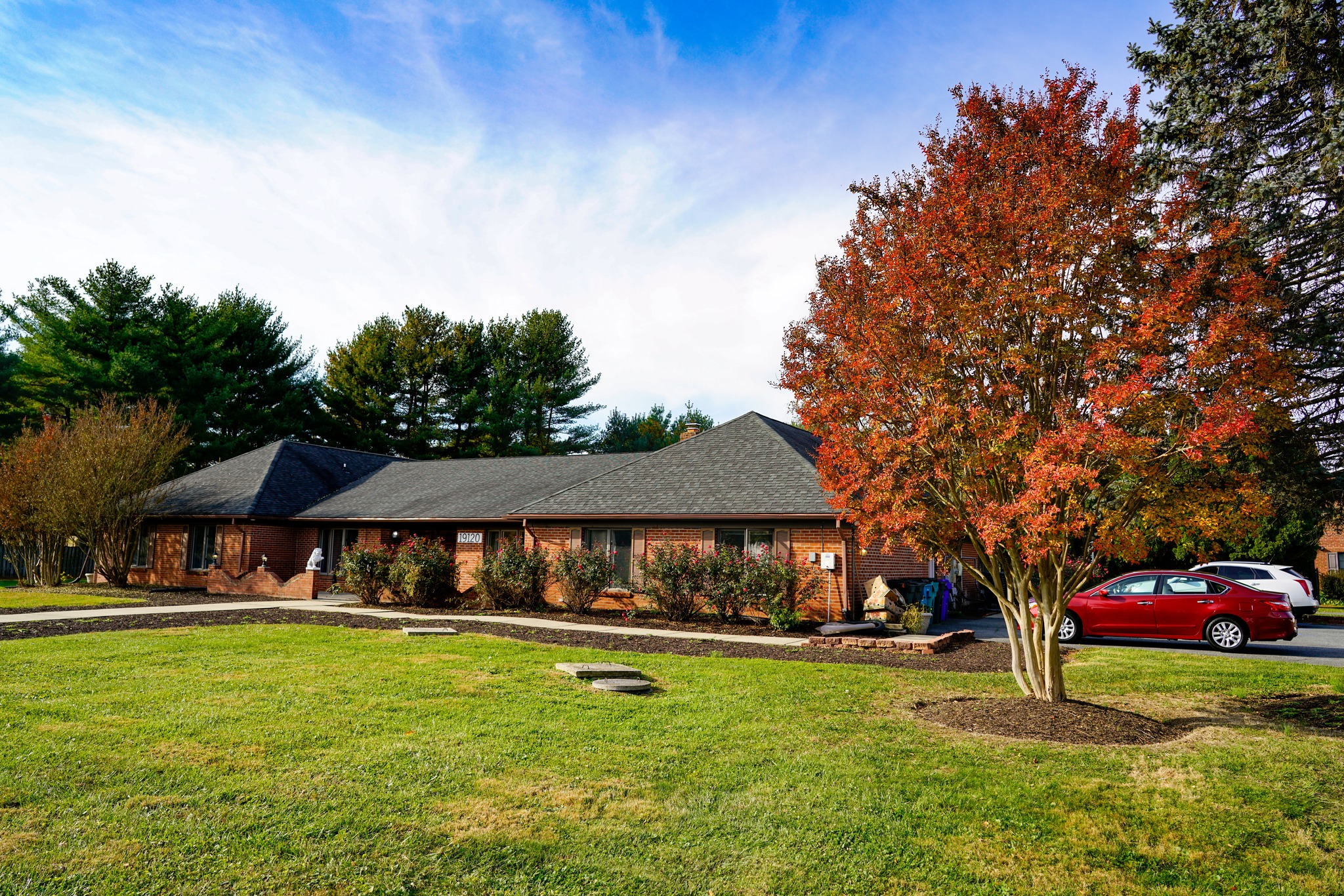 The Valley Derwood 1