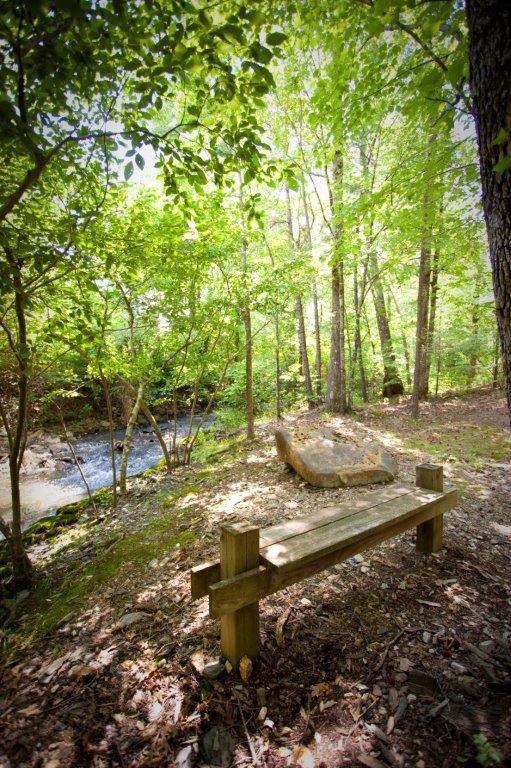 Wooden bench beside a small stream in a lush forest.