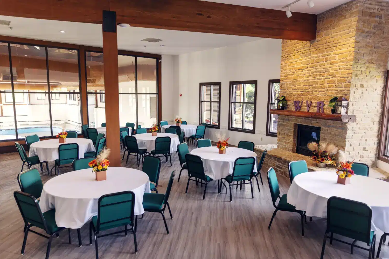 Wood Violet Recovery Dodgeville Photo6