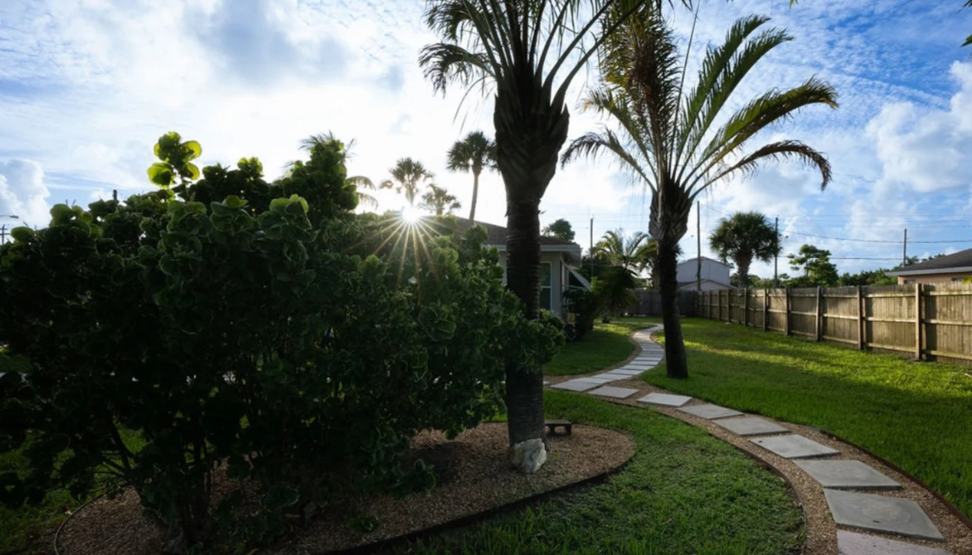 Tranquil outdoor space with palm trees and a stone pathway.