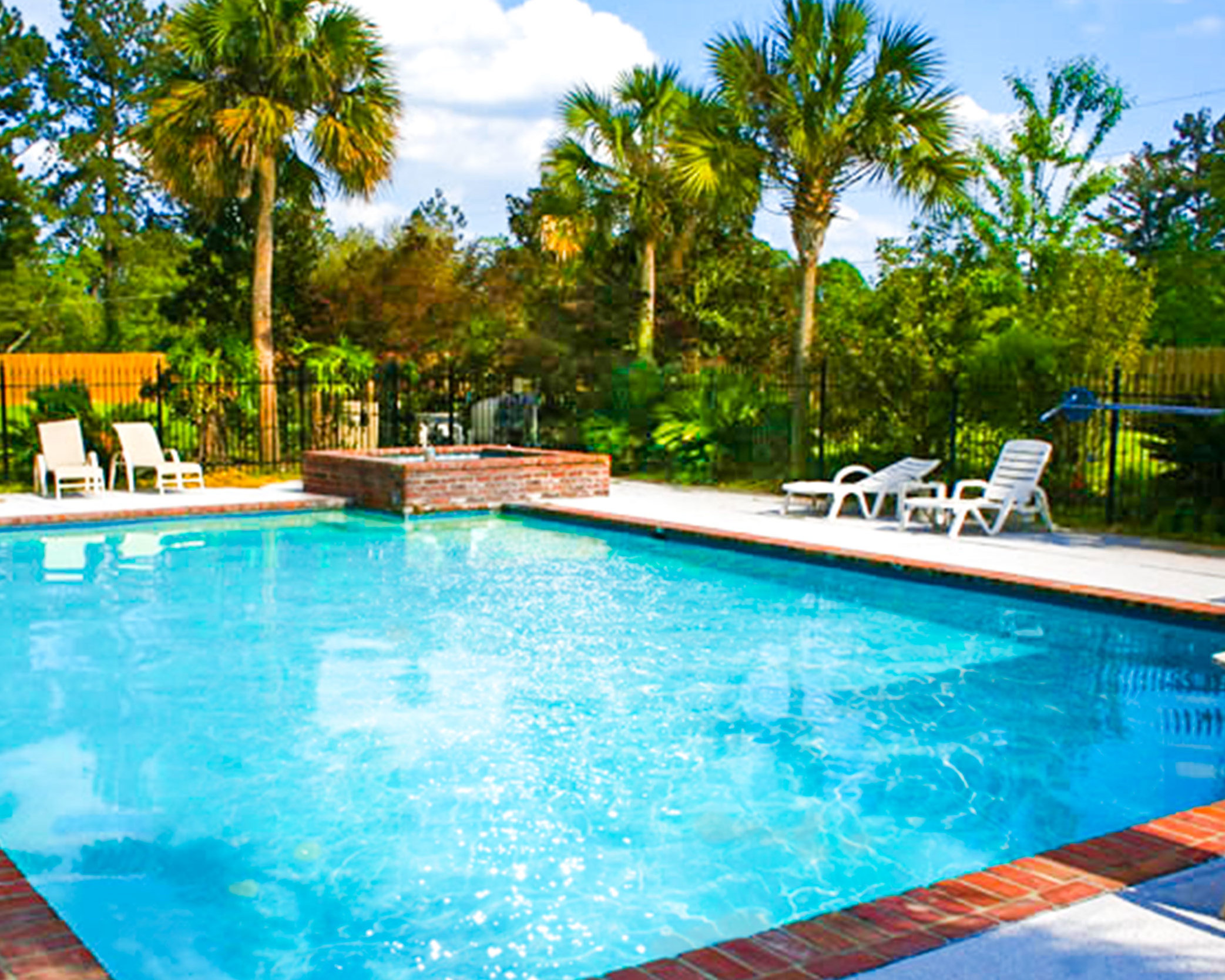 Swimming pool surrounded by palm trees and chairs