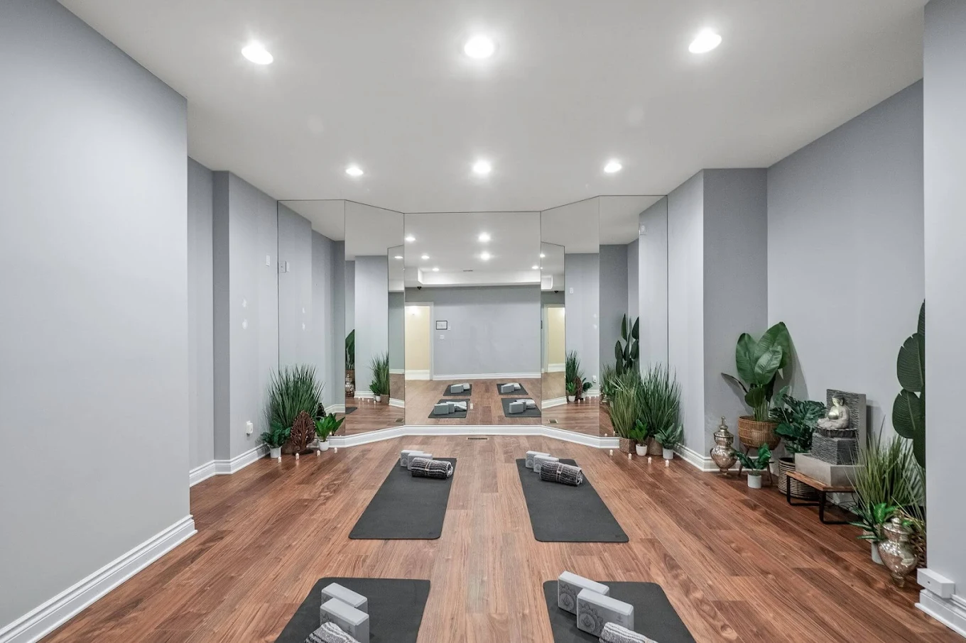 Yoga mats on wood floor with mirrors and indoor plants