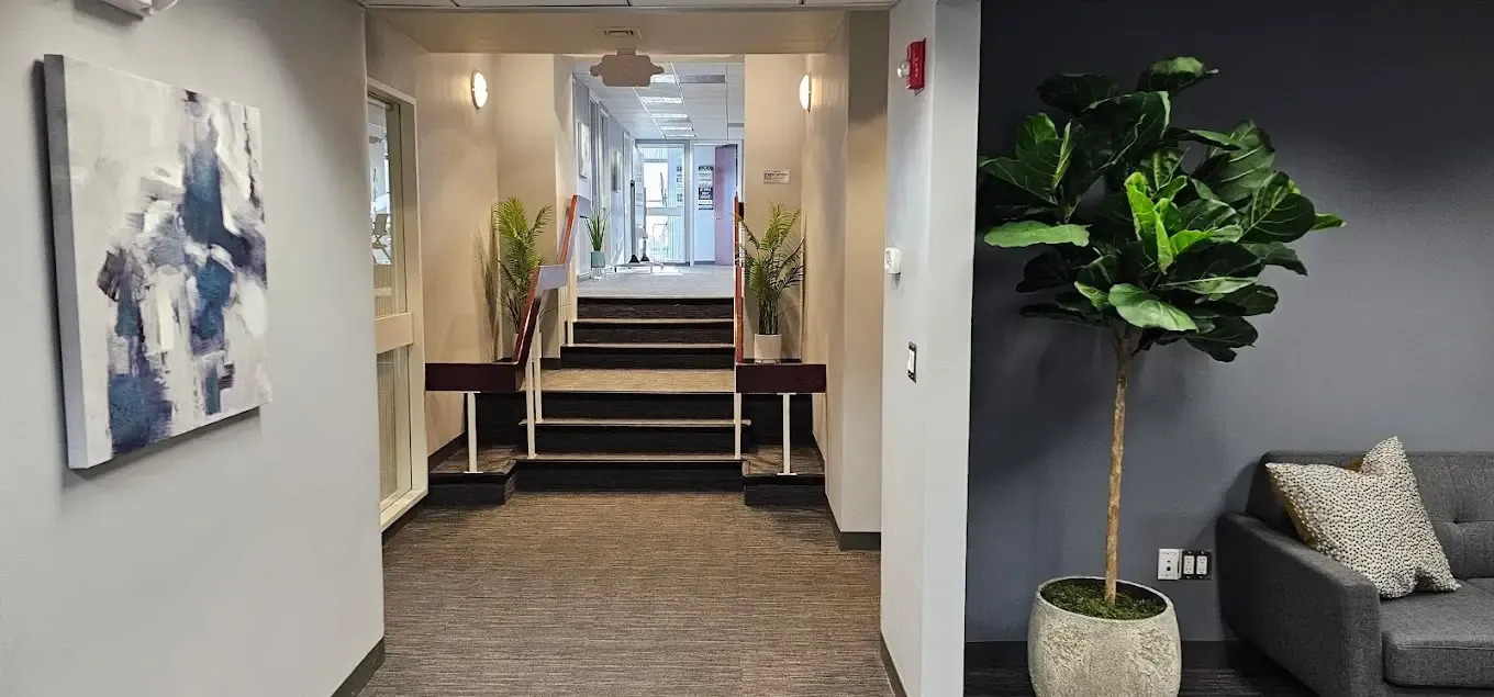 Bright hallway with plants, artwork, and carpeted steps.