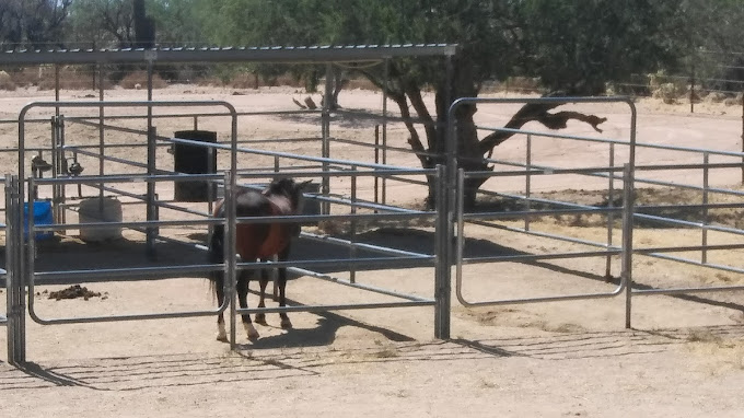 La Frontera Center Mountain Rose Tucson6