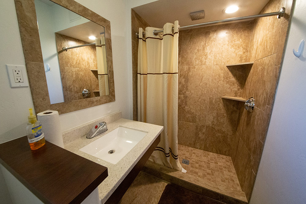 Modern bathroom with walk-in tiled shower and sink