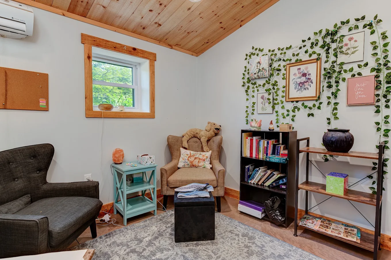 Cozy counseling room with armchairs, bookshelves and plants