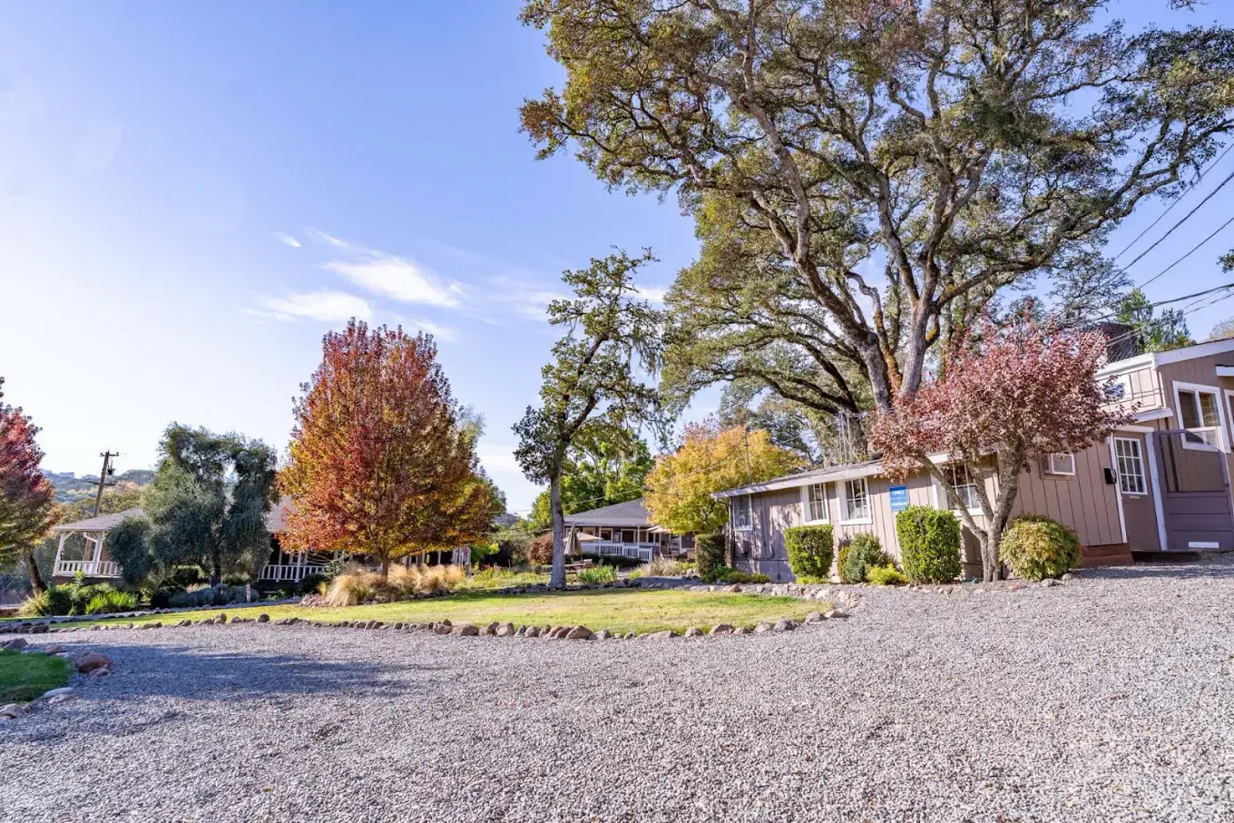 Gravel driveway leading to buildings surrounded by tall trees