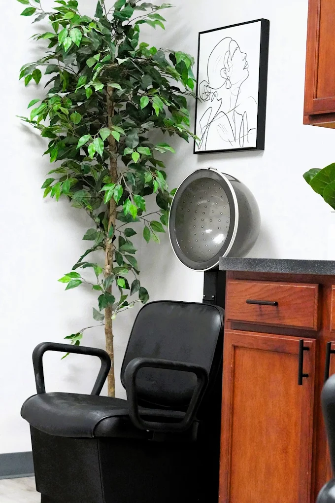 Salon chair with hair dryer and decor