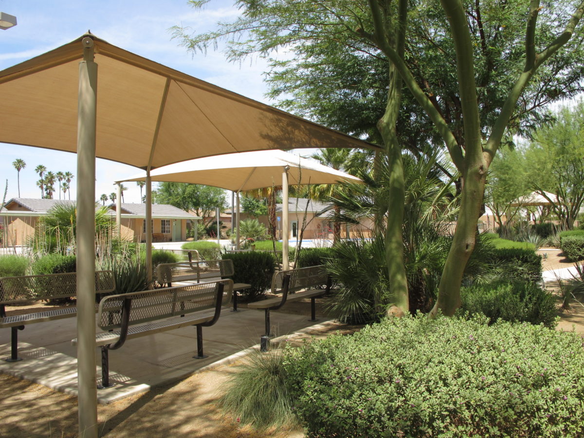 Shaded benches in desert-style garden setting.