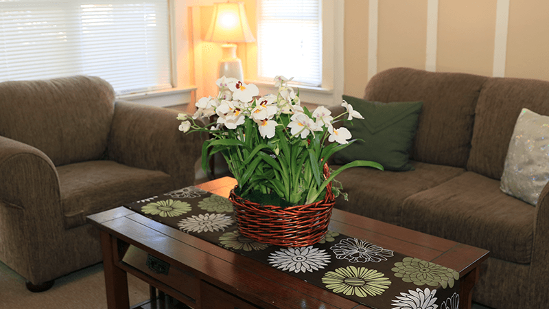 Comfortable indoor lounge with sofas and shared seating area