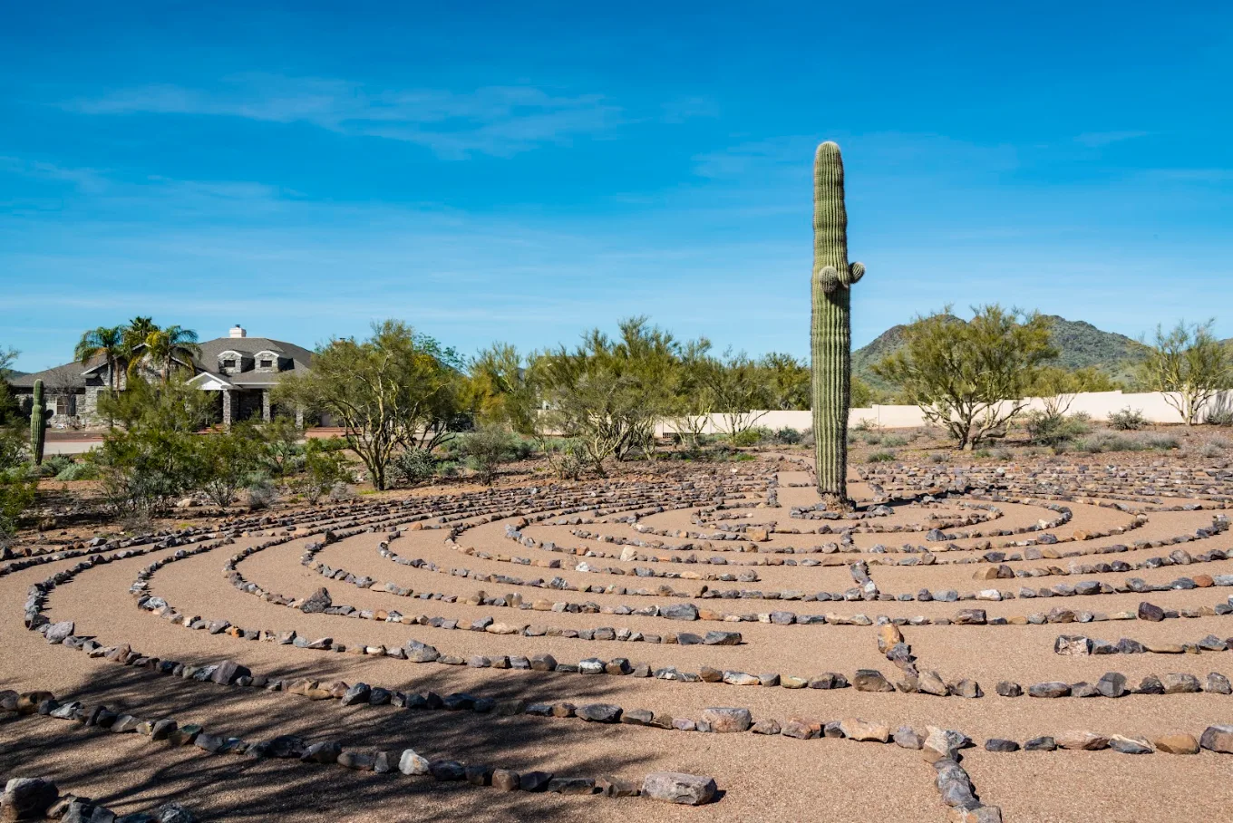 Stone labyrinth with tall cactus in a desert landscape