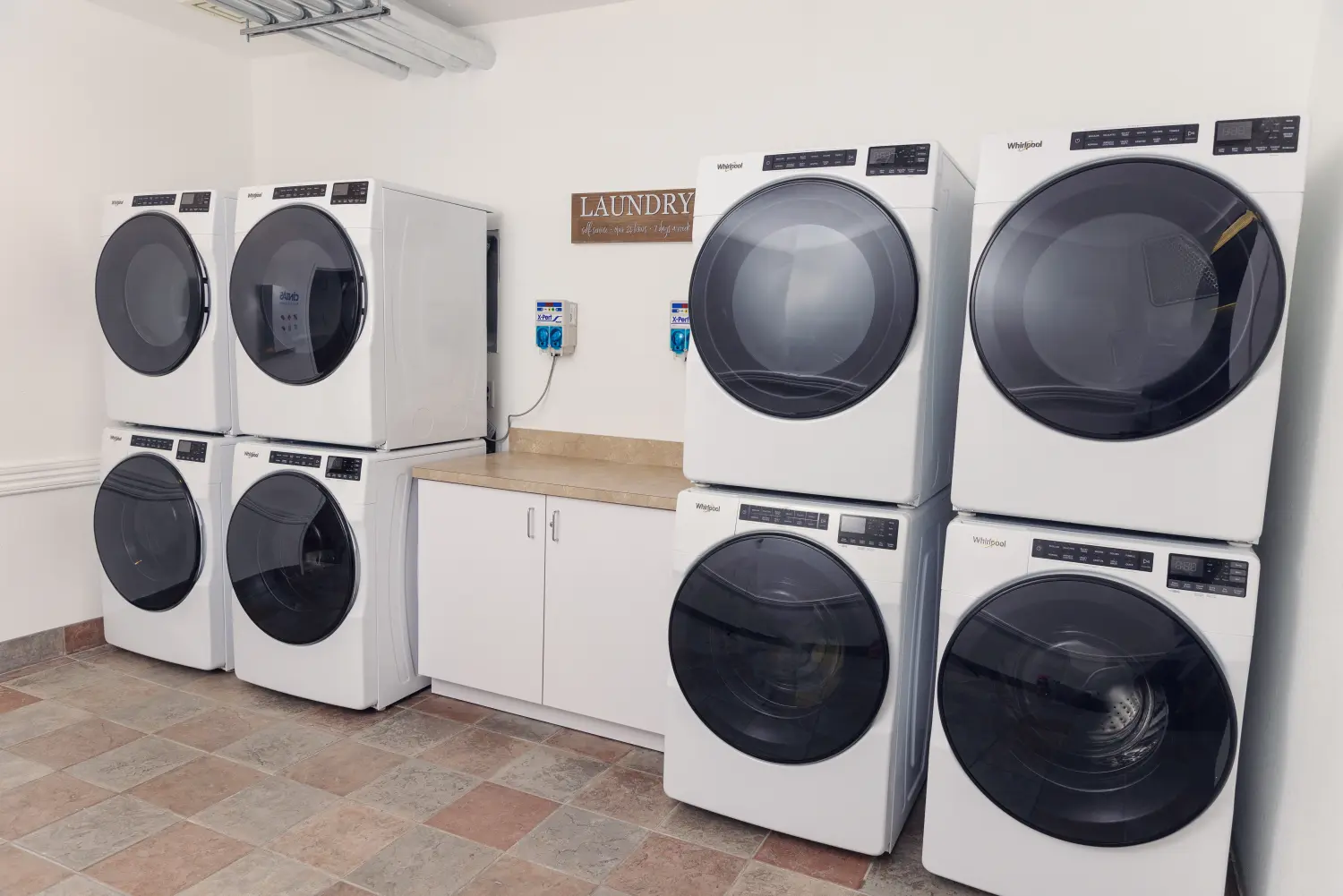 Wood Violet Recovery Dodgeville Photo9