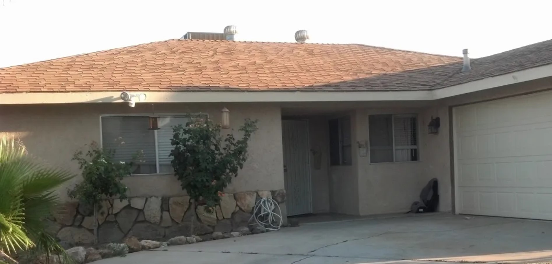 Rose Of Sharon 7 Divine Intervention Recovery Ranch San Jacinto1